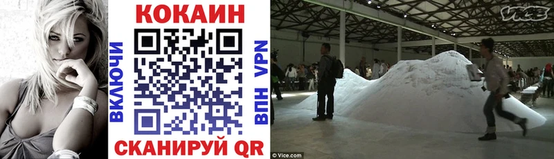 купить закладку  Богородск  Cocaine Fish Scale 