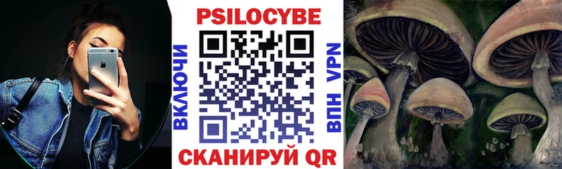 цены   Богородск  Галлюциногенные грибы Magic Shrooms 