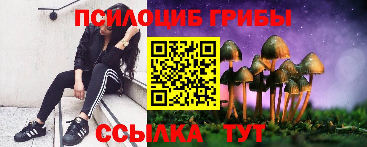 Псилоцибиновые грибы Magic Shrooms  Вход с VPN  Псилоцибиновые грибы Psilocybine cubensis  Богородск 