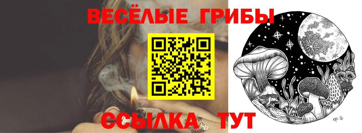 Галлюциногенные грибы прущие грибы Богородск